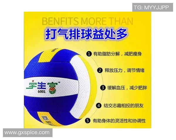 杭州排球队区域防守策略揭秘深度解析排球战术与团队协作 杭州排球队区域防守策略揭秘深度解析排球战术与团队协作