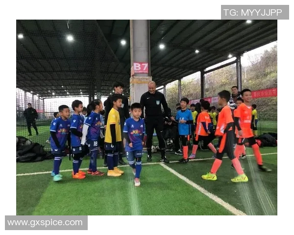 重庆足球队在锦标赛中的个人能力表现分析与点评