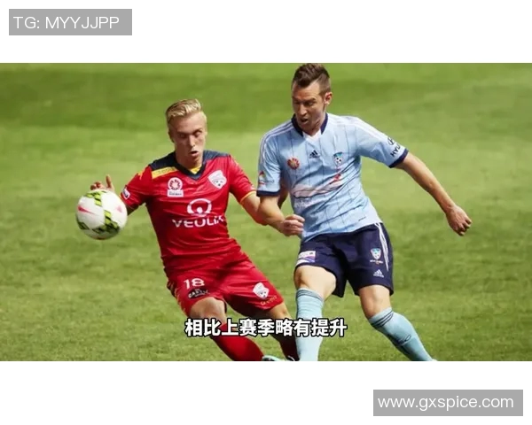 惠灵顿与悉尼足球对决比分预测分析及赛前展望