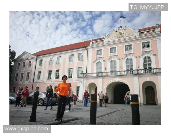 芬兰与爱沙尼亚历史渊源探讨及两国关系演变分析 芬兰与爱沙尼亚历史渊源探讨及两国关系演变分析