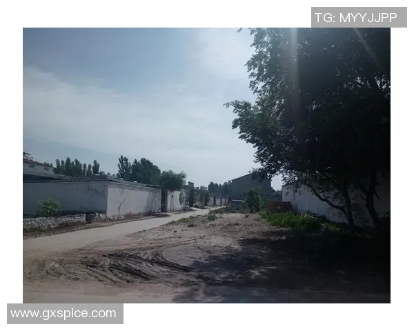 翟晓川:从篮球场的拼搏到人生舞台的精彩转身