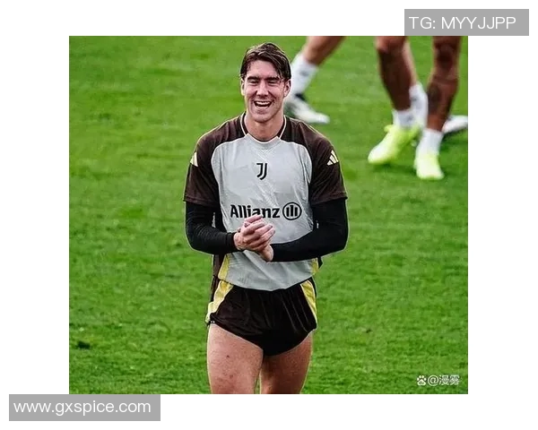 弗拉霍维奇：年轻前锋如何在意甲赛场上崭露头角与未来展望