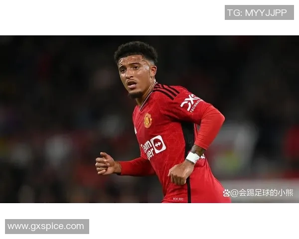 桑乔的足球之路：从天才少年到英超明星的成长历程与挑战