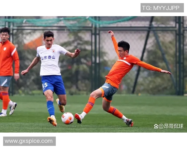 天狼星与索尔纳激战正酣比分揭晓引发球迷热议