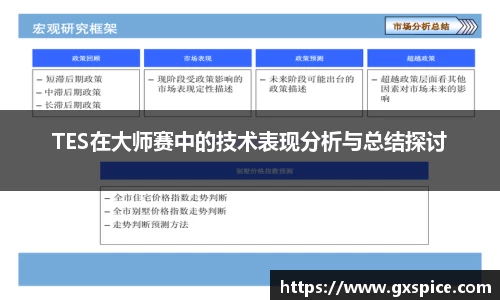 TES在大师赛中的技术表现分析与总结探讨