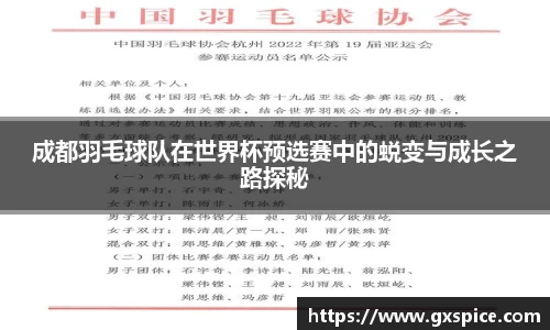 成都羽毛球队在世界杯预选赛中的蜕变与成长之路探秘