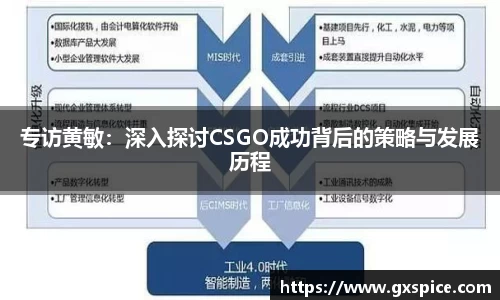 专访黄敏：深入探讨CSGO成功背后的策略与发展历程